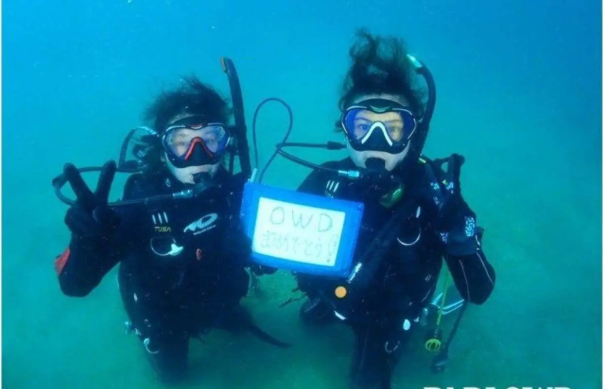 PADI【福井／和歌山】大阪から無料送迎　OWDライセンス取得を目指そう! 2名以上から 初心者・女性・シルバー歓迎