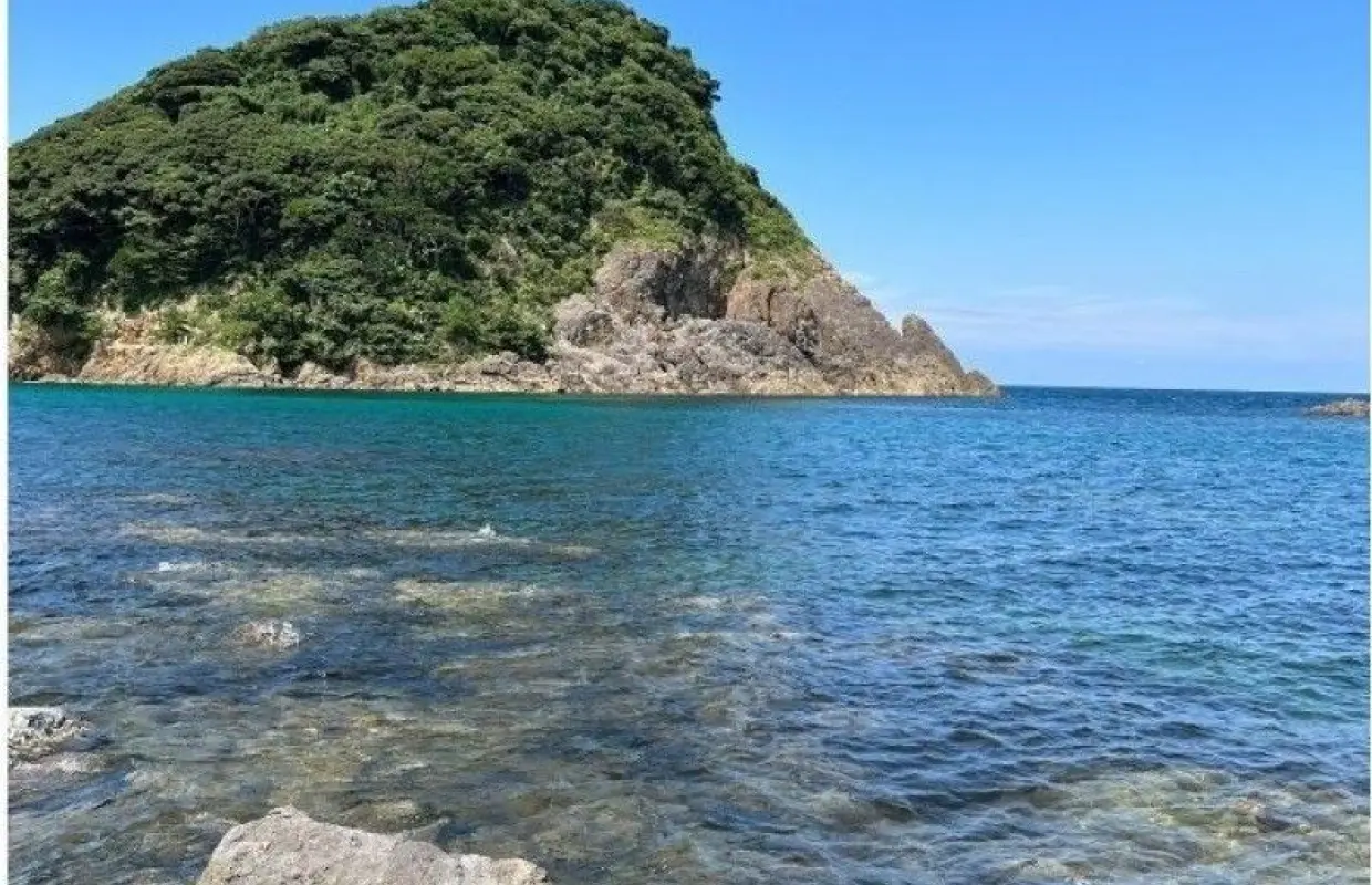 【兵庫・美方】ライセンスをお持ちの方限定！透明度抜群の香住の海を堪能しに行こう＜ボート2ダイブプラン＞