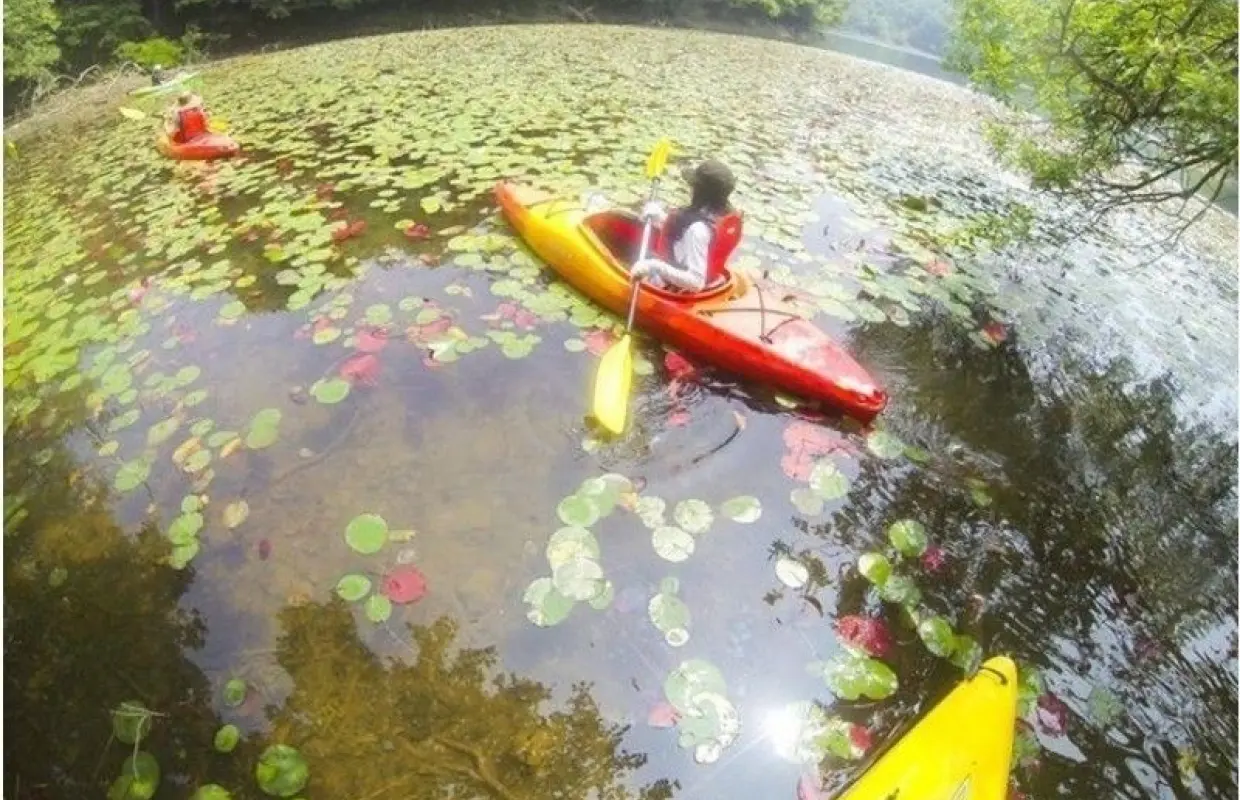 [Tottori, Uradome Coast] Enjoy the four seasons! Kayaking experience at the sand dune oasis "Tanakaike Pond" ♪