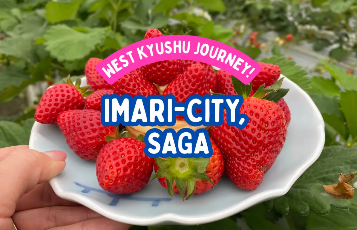 佐贺县伊凡里市【高级套餐】高级草莓采摘及甜点制作体验，含伊凡里陶器纪念品！