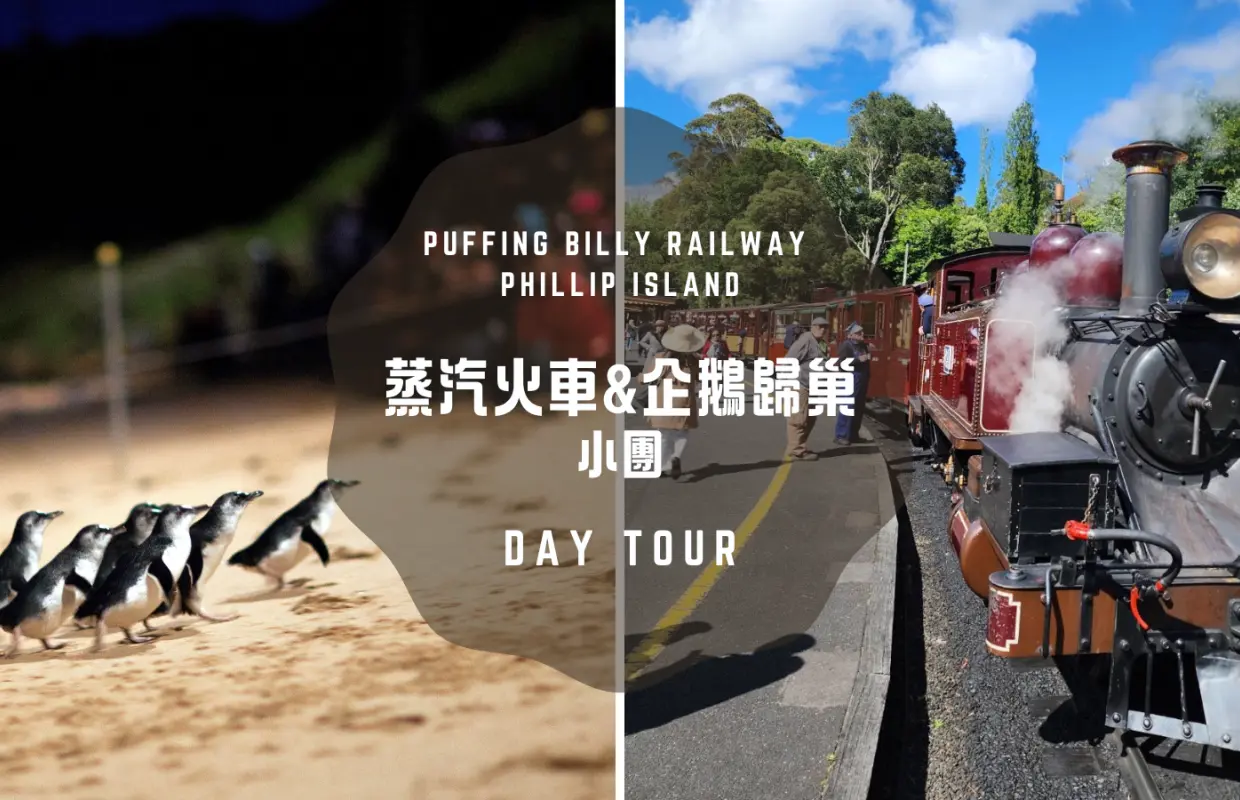 【PM】 蒸汽火車&企鵝歸巢小團