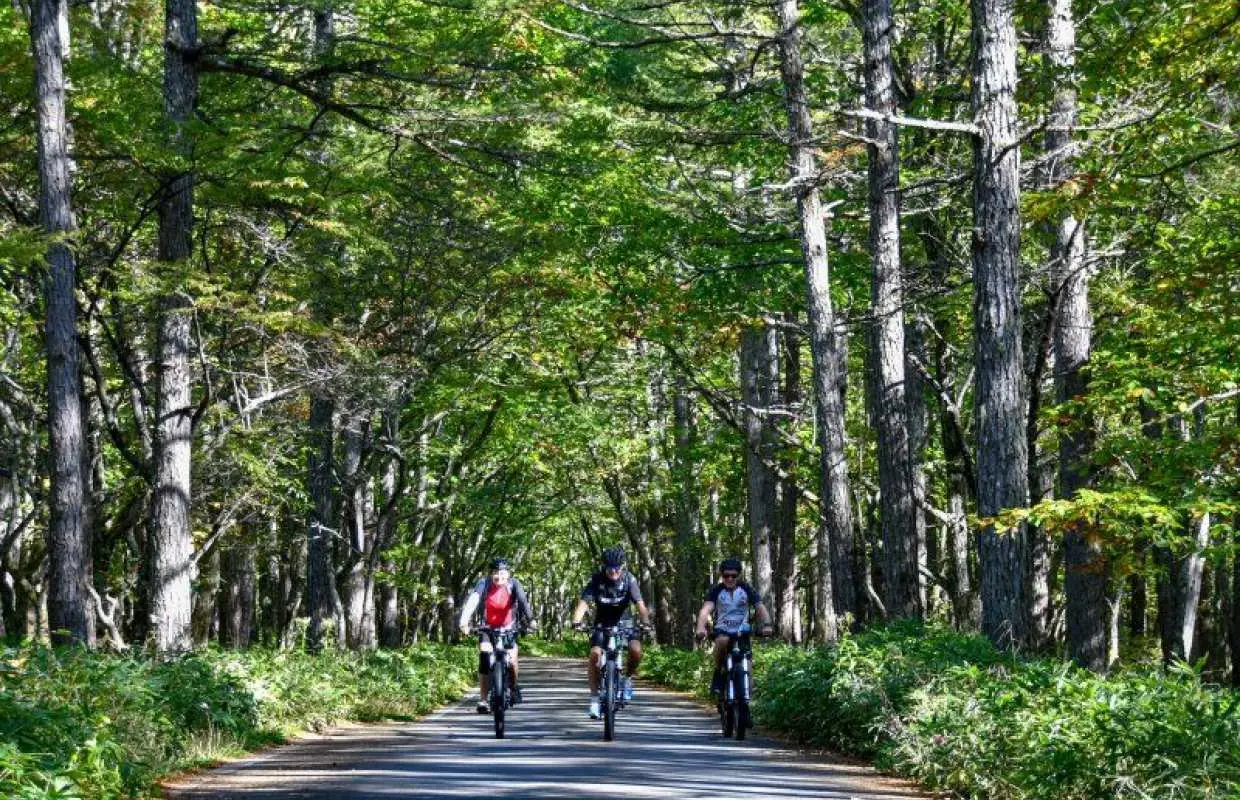 小田代原＆千手ケ浜フォレストライド（約18km）【Eバイクセルフガイドツアー・赤沼自然情報センター発着】