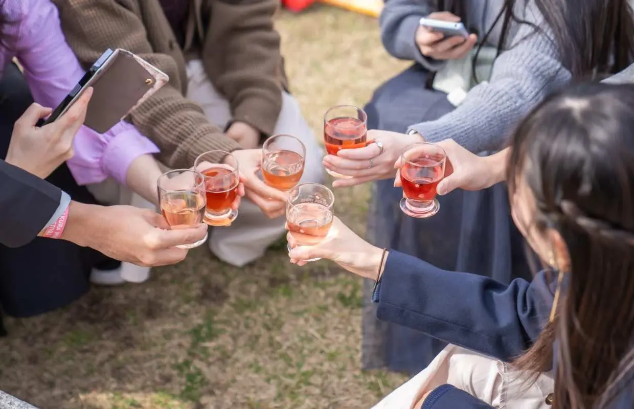 SAKURA WINE FESTIVAL 2026 admission ticket