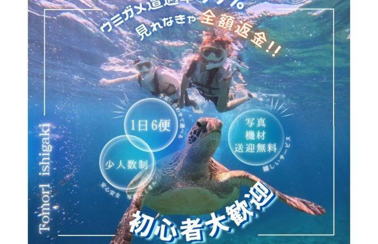 【ウミガメ見れなきゃ全額返金】安心安全・少人数制ウミガメシュノーケリング〈１日６便・当日予約OK〉GoProデータ・機材・送迎無料