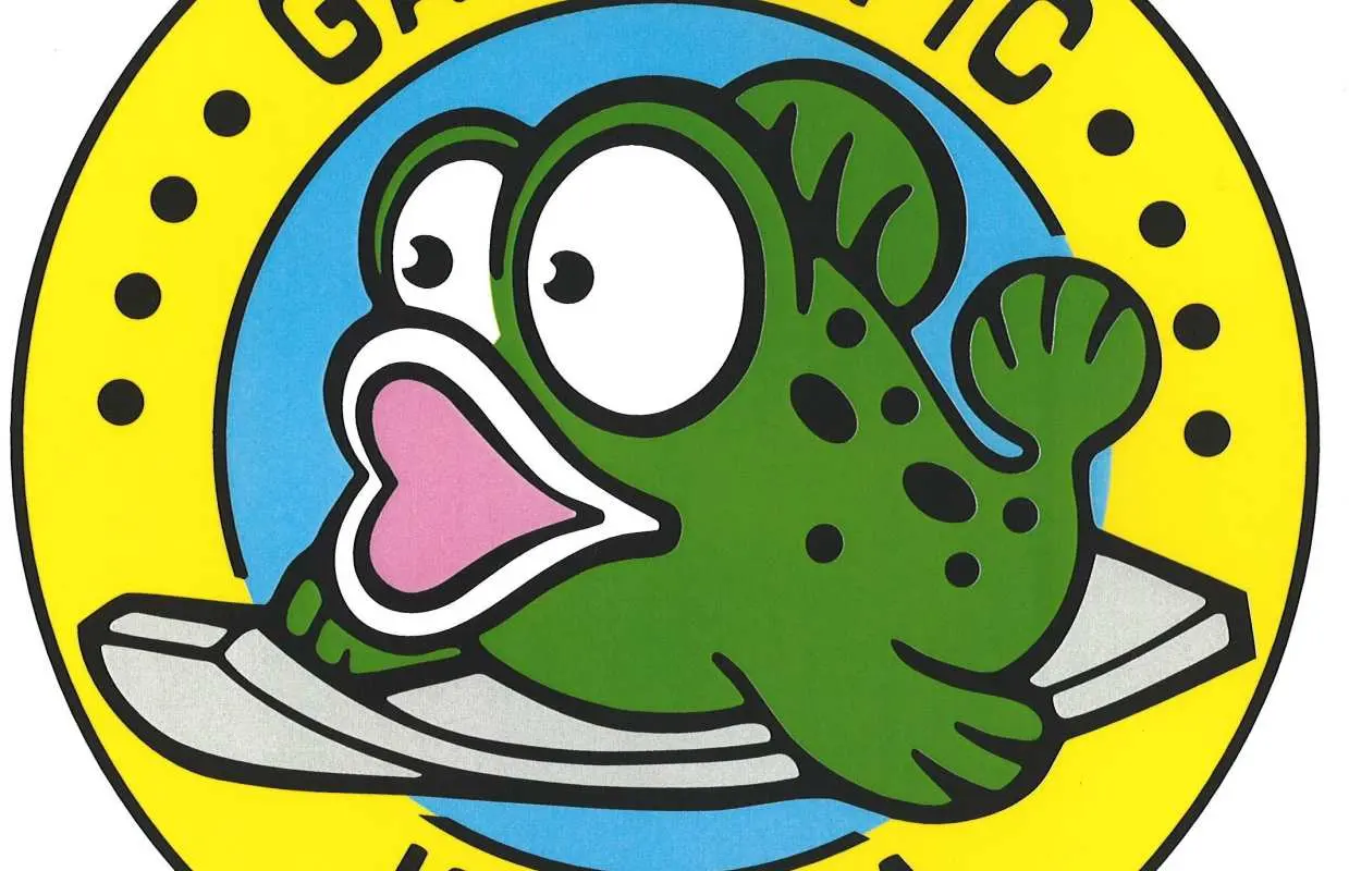 Saga: 2026 Kashima Gatalympic Participatory Bus Tour from Hakata