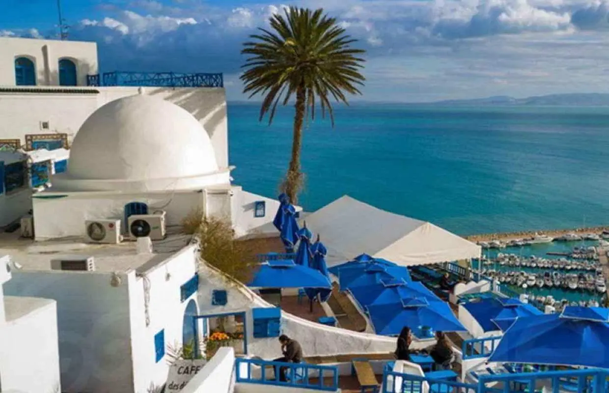 From Hammamet, Sousse: Bardo, Medina, Carthage, Sidi BouSaid｜Tunisia