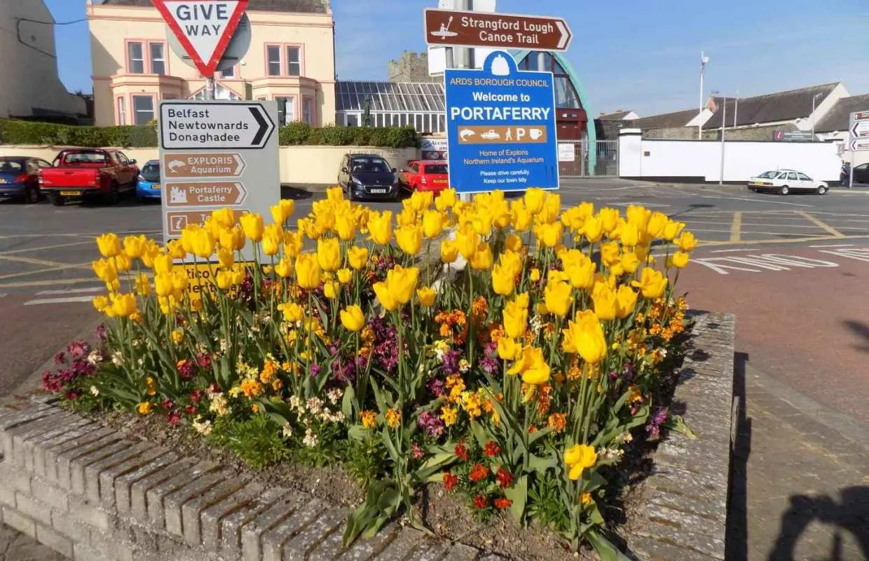 Portaferry: Guided Historical Walking Tour with Ferry Ride｜United Kingdom