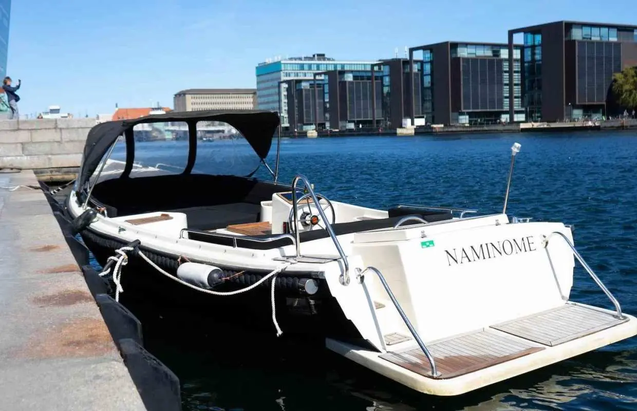 Copenhagen: Private Guided Boat Tour with City Highlights｜Denmark
