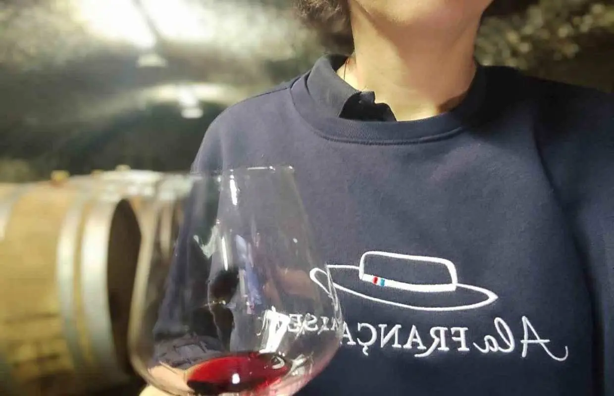 From Marseille Cruise Port : Avignon & Wine Tasting｜France