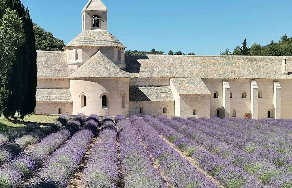 Từ Marseille: Tour riêng trong ngày tùy chỉnh khám phá Provence | Pháp