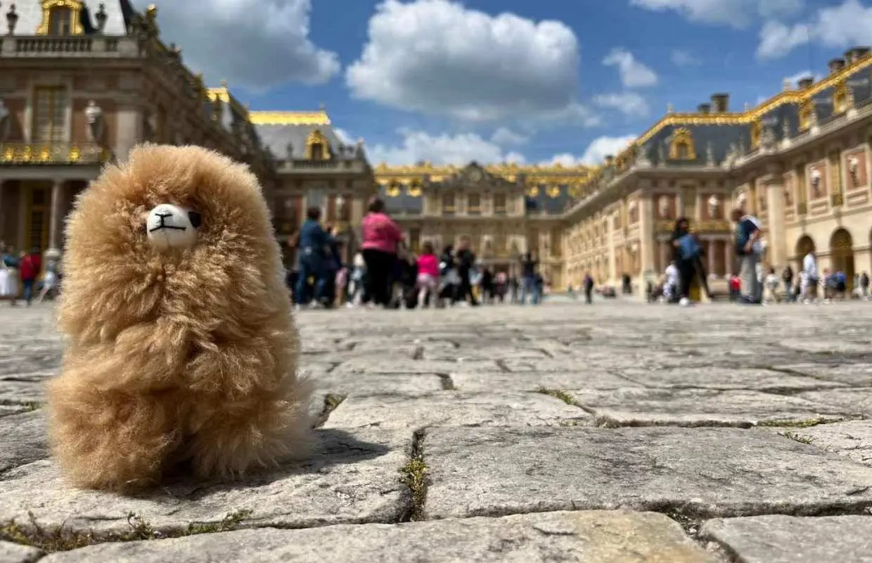 Versailles Half-day Private Tour by Luxury Car｜France