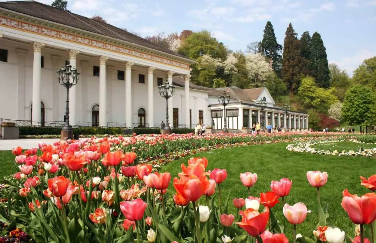 Frankfurt to Black Forest, Baden-Baden, Freiburg and by Car｜Germany