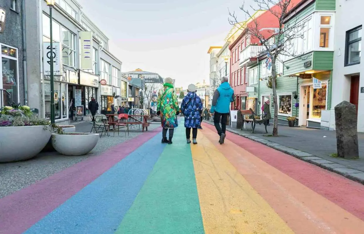 Private Reykjavik City & Icelandic Architecture Walking Tour｜Iceland