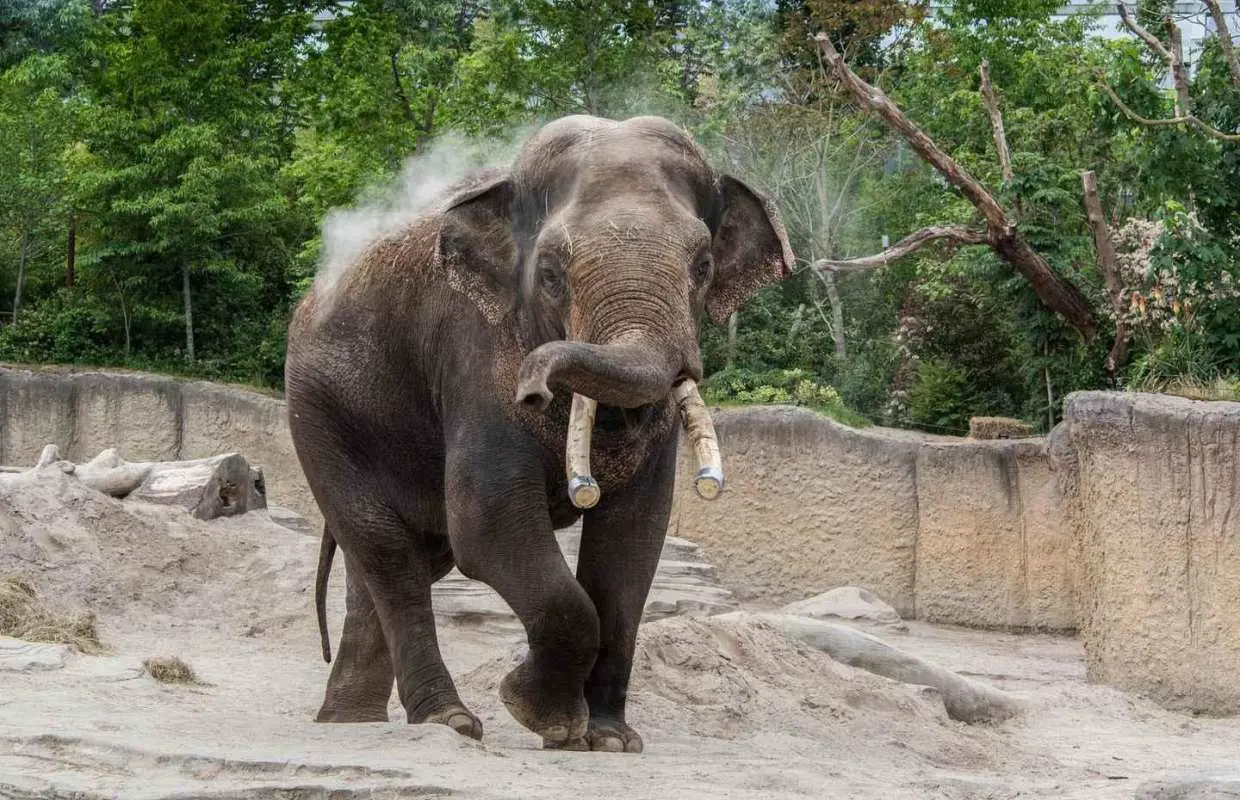 埃門：荒野探險動物園和林布拉河遊船｜荷蘭