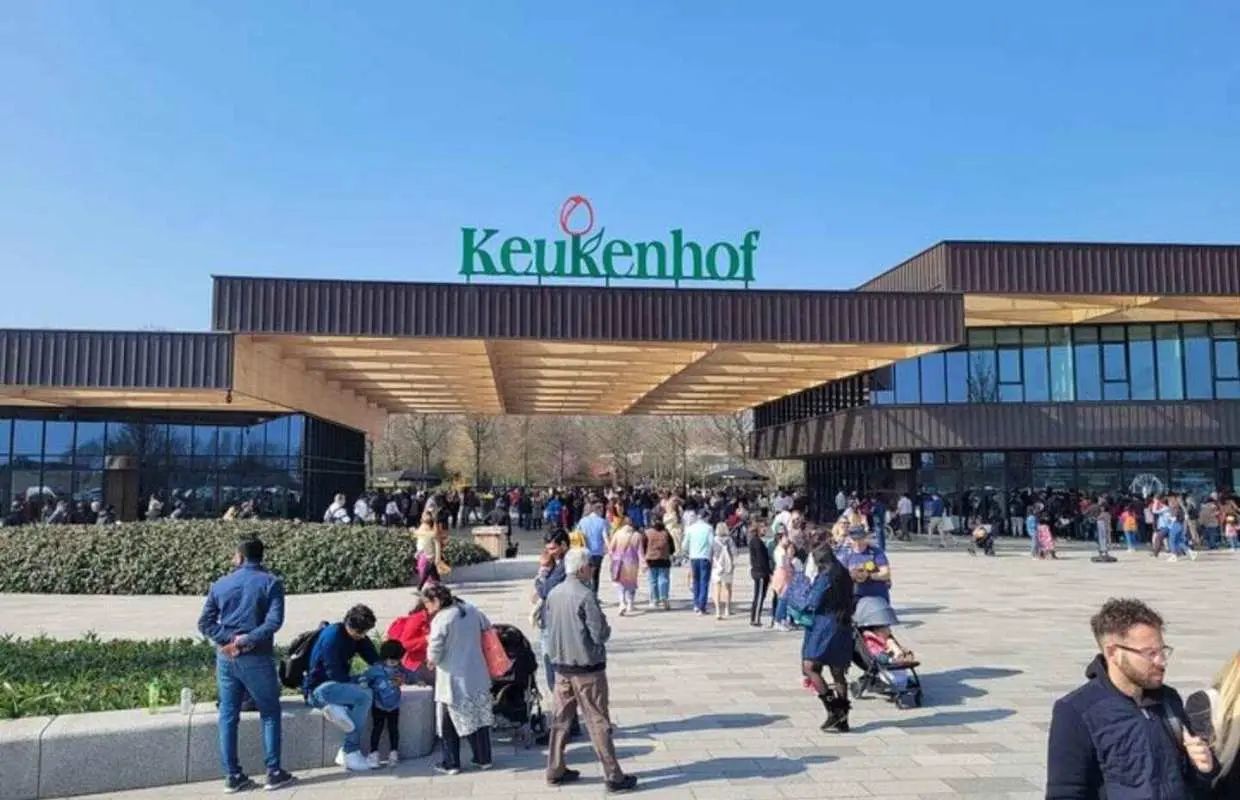 Amsterdam: Tour riêng tham quan Vườn hoa tulip Keukenhof | Hà Lan