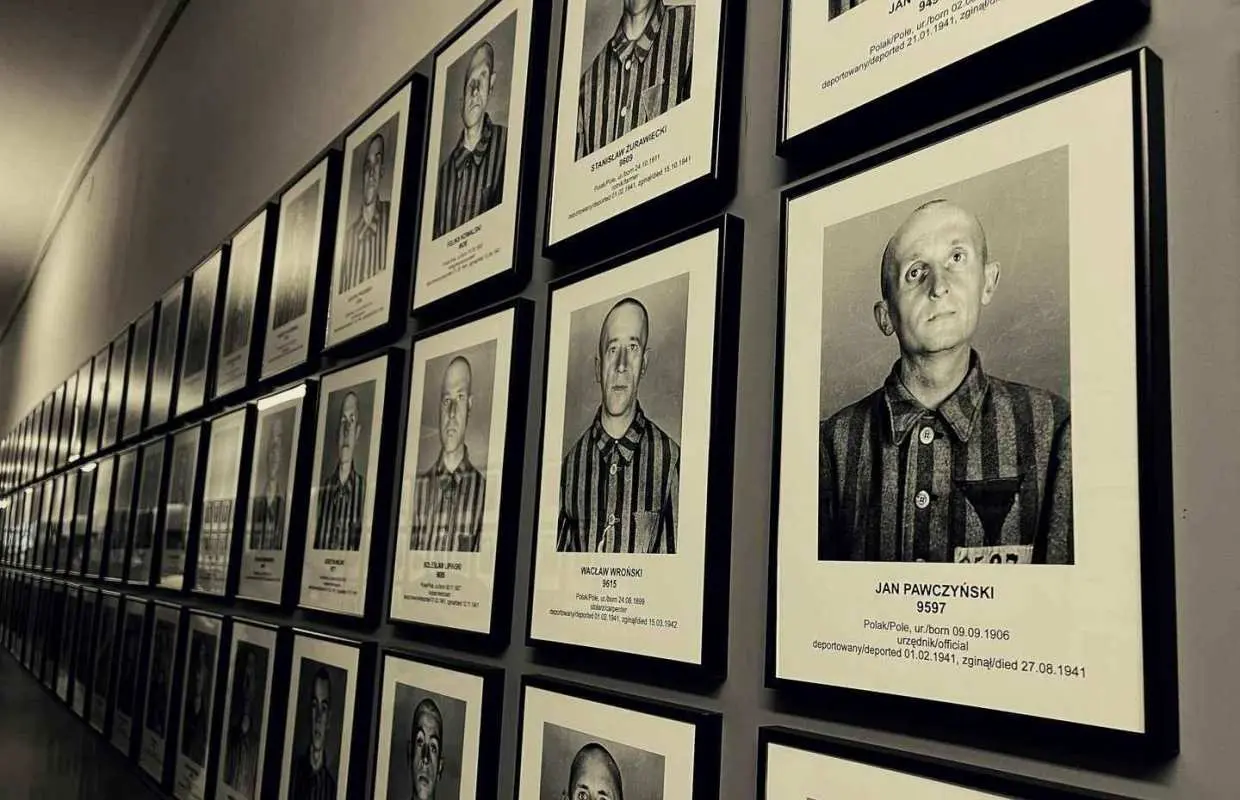 Krakow: Auschwitz-Birkenau Private Chauffeur Service｜Poland