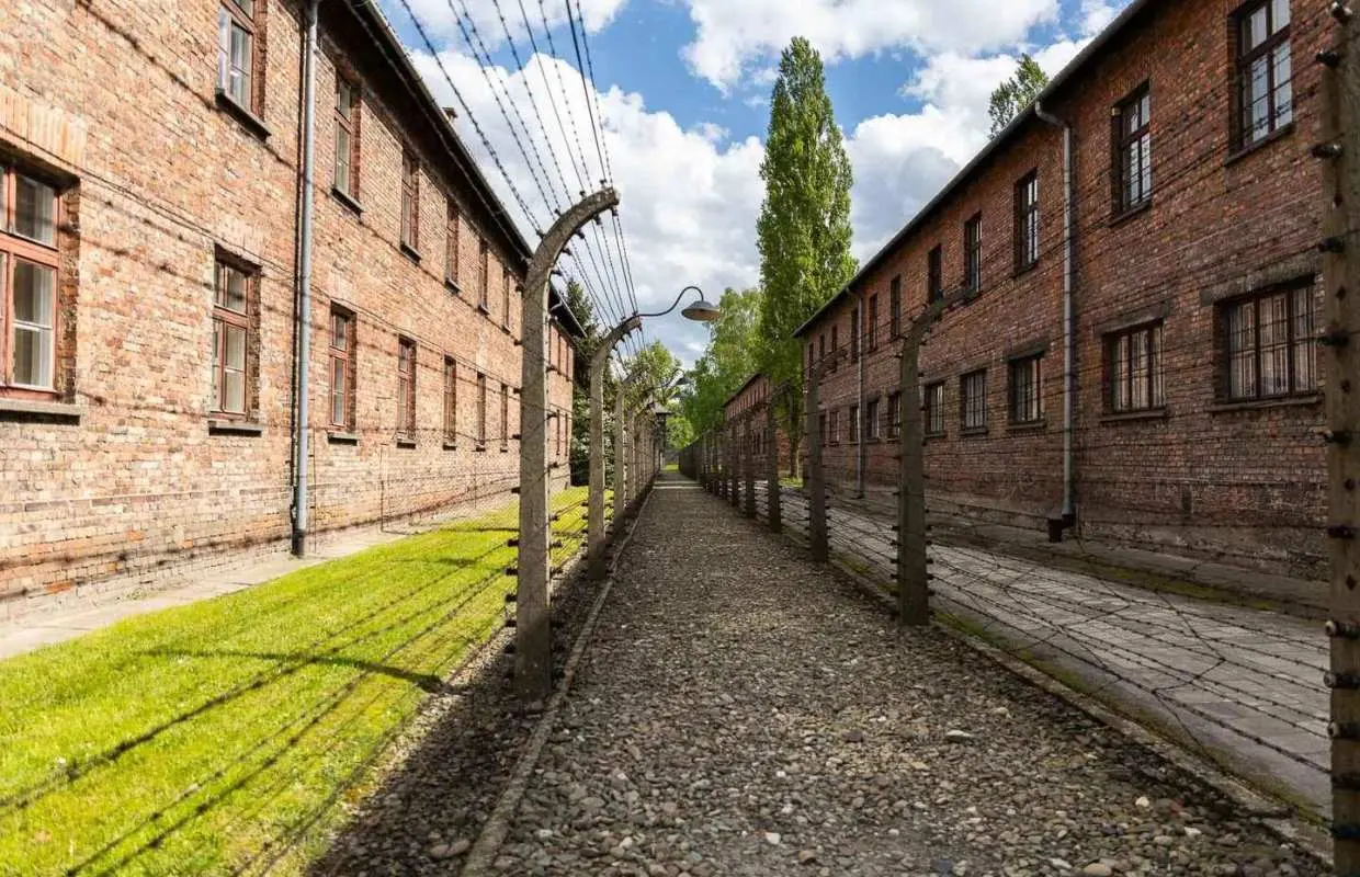 From Krakow: Auschwitz-Birkenau Guided Tour with Transport｜Poland