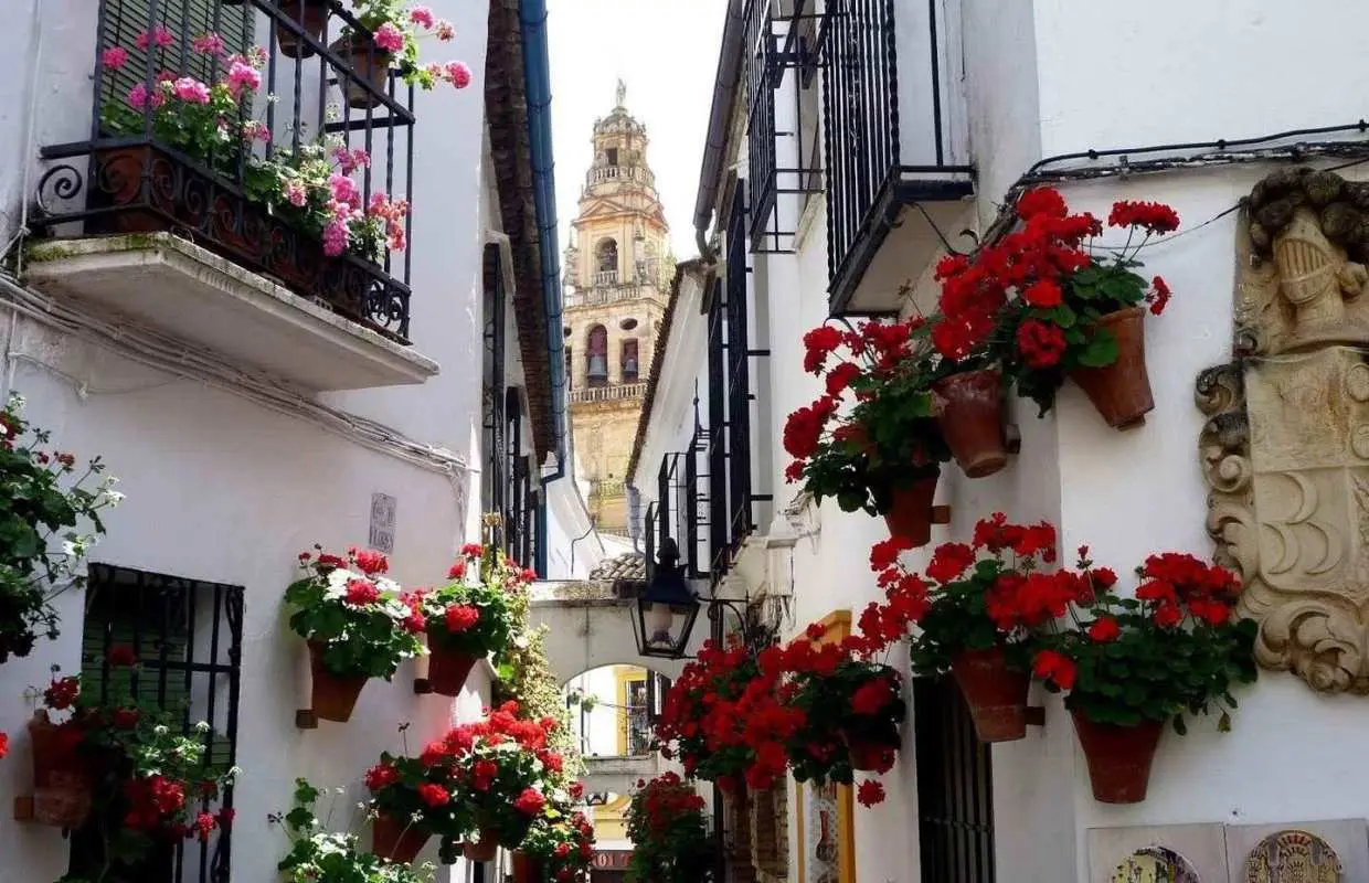 从塞维利亚出发：格拉纳达和科尔多瓦私人接送之旅｜西班牙