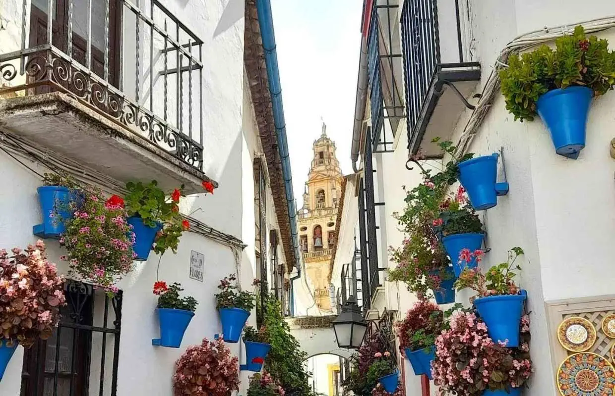 Costa del Sol: Private trip to Cordoba｜Spain