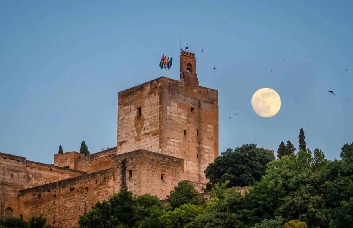 Alhambra with Nazaries Palaces Private Tour｜Spain