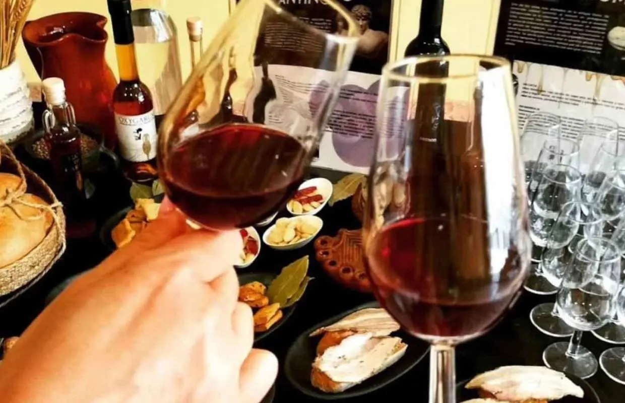 Ancient Rome gastronomic experience - wine tasting｜Spain