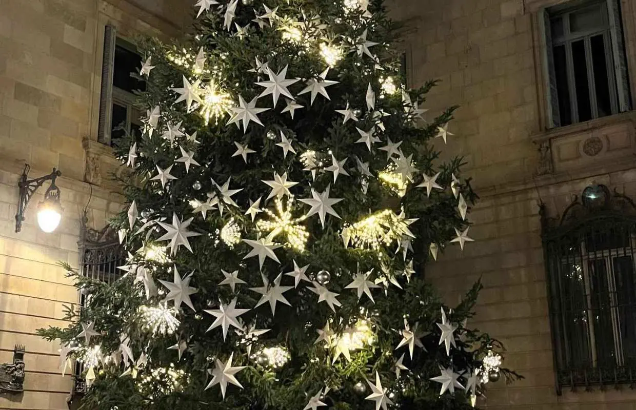 Barcelona: Christmas Lights and Markets Bike Tour｜Spain