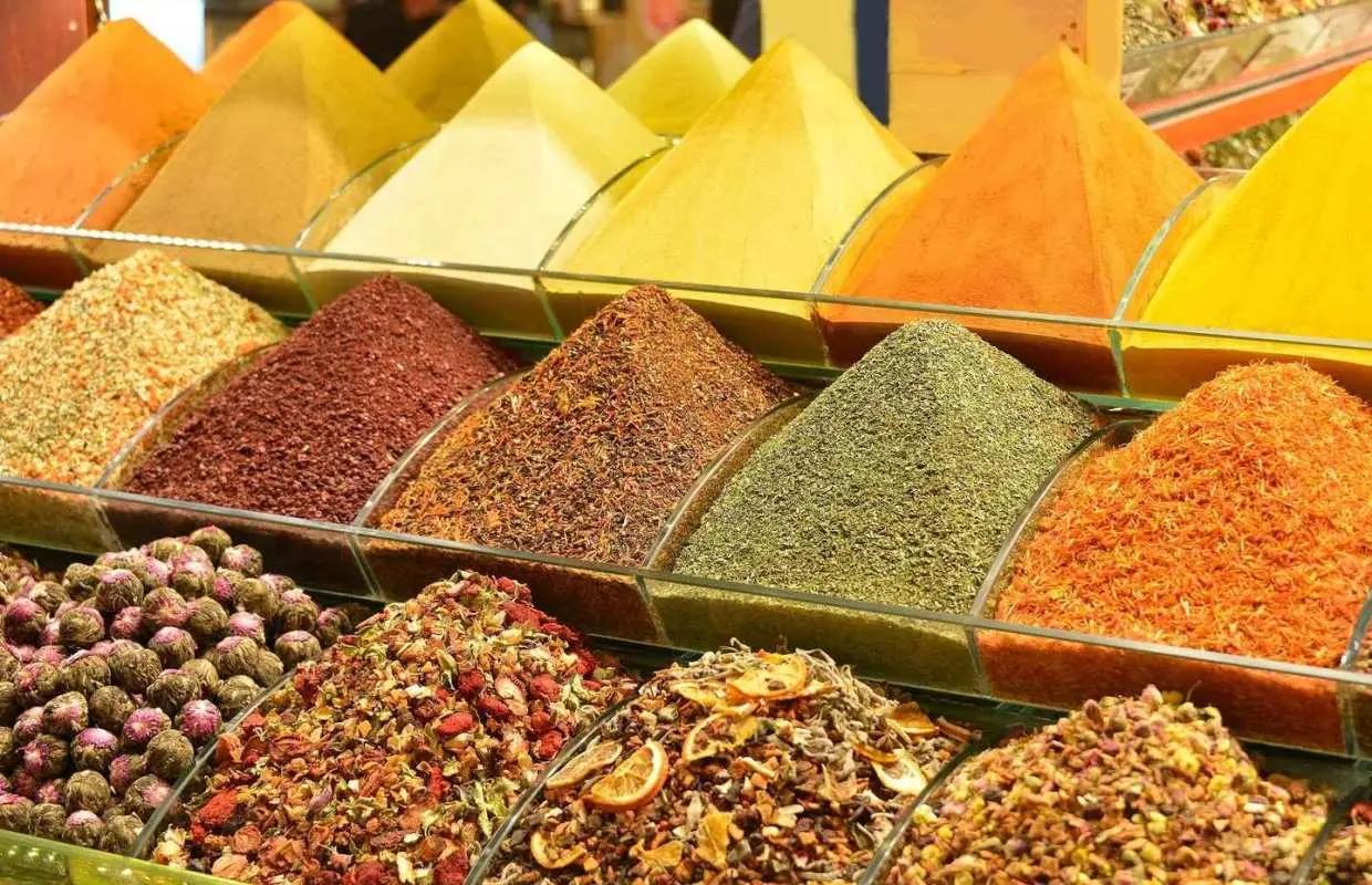 Istanbul: Guided City Walking Tour with Lunch｜Turkey