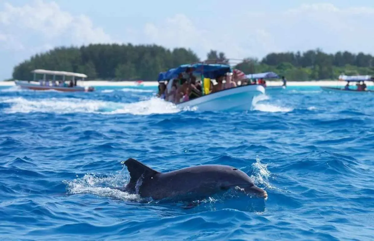 Manavgat River & Dolphin Island Boat Tour&Lunch & Foam Party｜Turkey