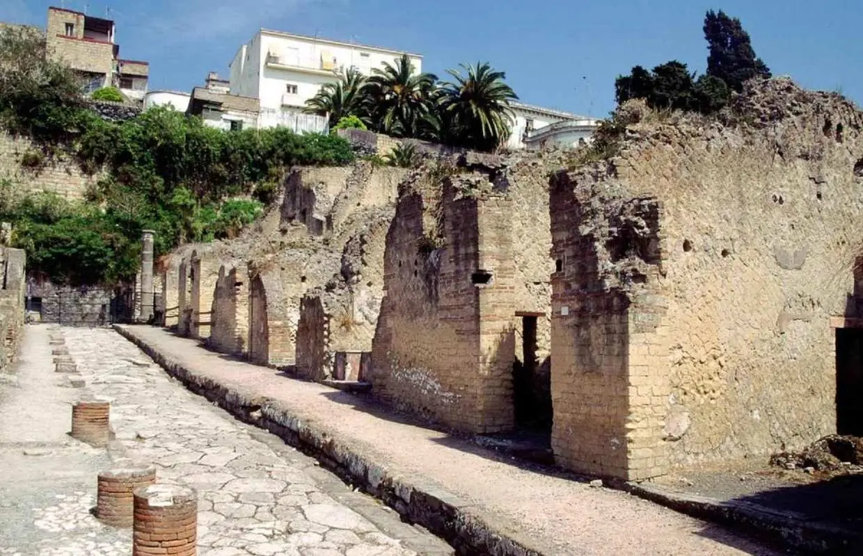 Naples: Pompeii, Herculaneum, and Vesuvius Tour by Minivan｜Italy