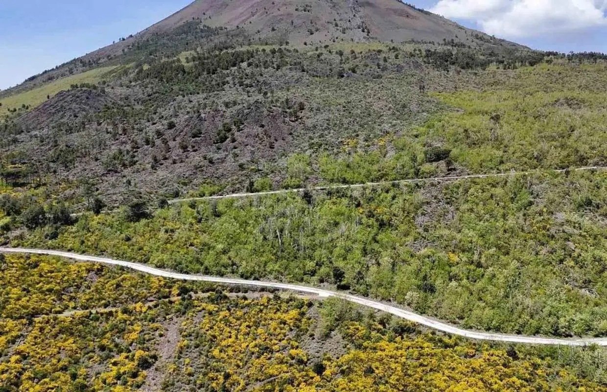 E-bike Vesuvius All Inclusive: Nature, Crater & DOC Wines｜Italy