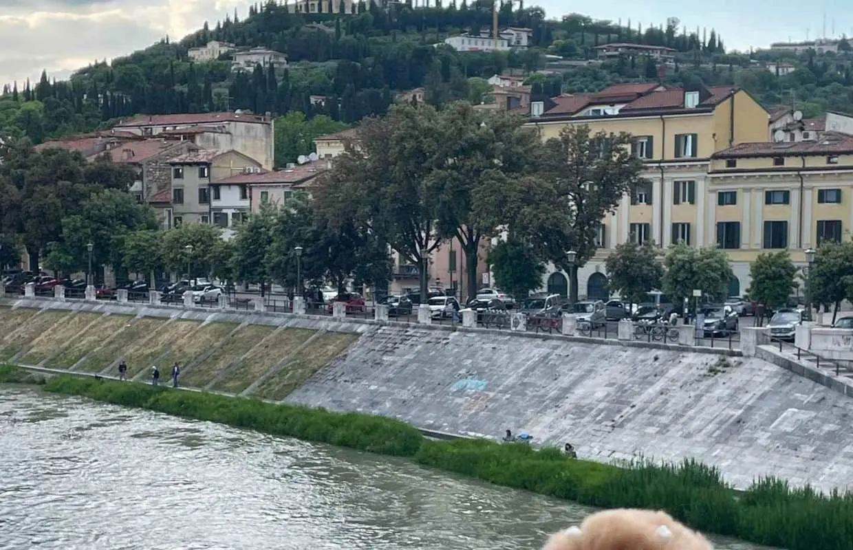 Verona: Romeo, Juliet, and Roman Stones Private Tour｜Italy