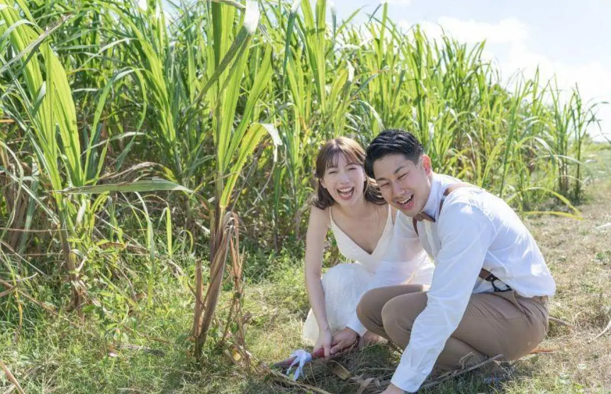 [Okinawa, Ishigaki Island] Beach & Sugarcane Experience Photo Wedding ♪ Wedding photos ♪ Beach photoshoot and sugarcane harvesting experience