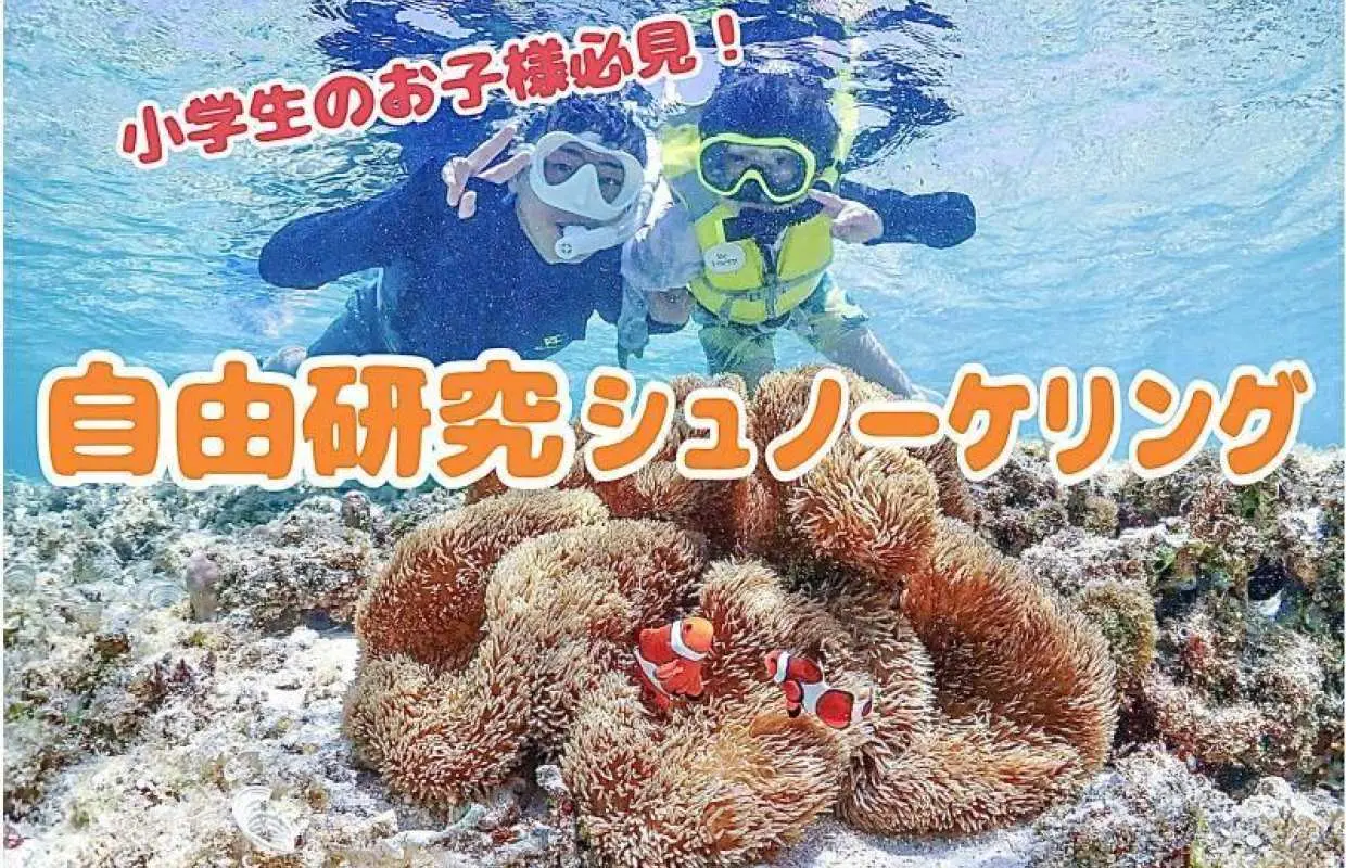 เกาะมิยาโกะ | โครงงานศึกษาอิสระ | เรียนรู้ไปพร้อมกับการเล่น! โครงงานศึกษาอิสระ: การดำน้ำตื้น ~มีแบบฝึกหัดให้~