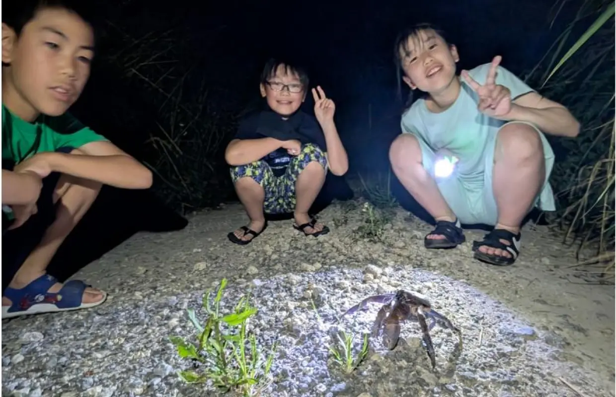 【沖縄県・石垣市】1組限定貸切りナイトツアー・ご家族カップルオススメ・夜の石垣島を観察しよう！