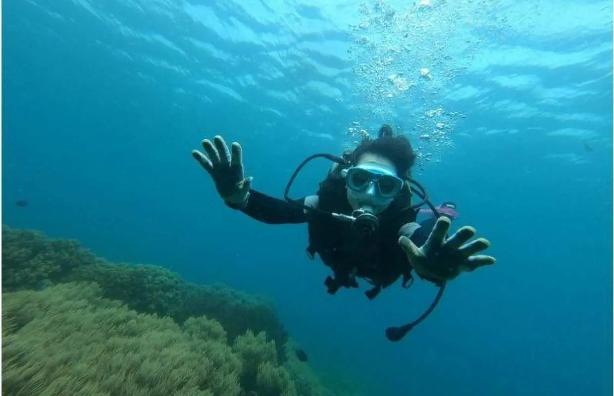 Chatan Town <<Introductory Boat Diving>> 1 Dive ✨ No stamina required ✨ You're sure to be amazed by the tropical fish and coral reefs ✨ Private dive for peace of mind, even for first-timers ✨ Free photos and videos