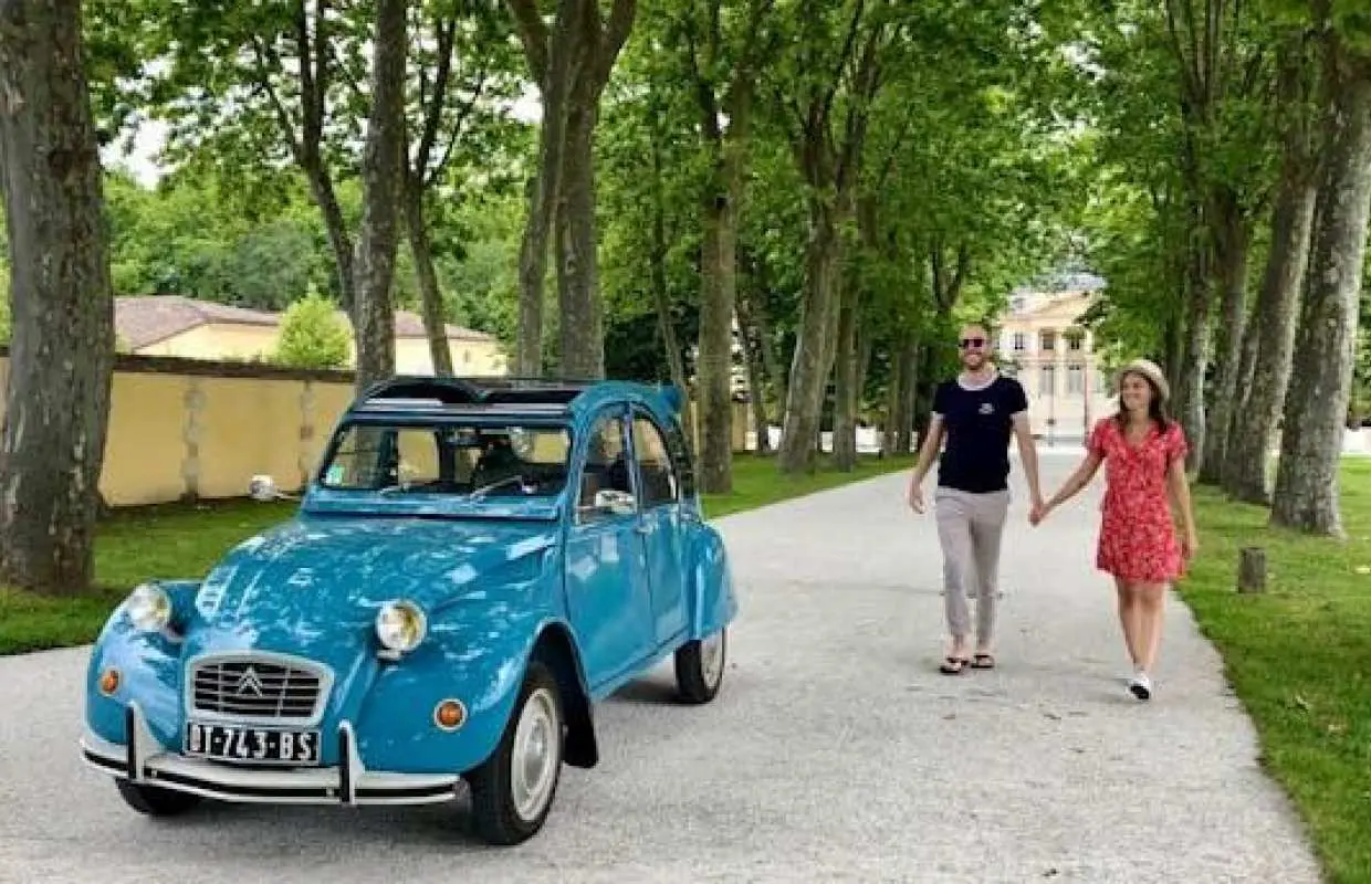 Private tour of Médoc vineyards with professional wine taster