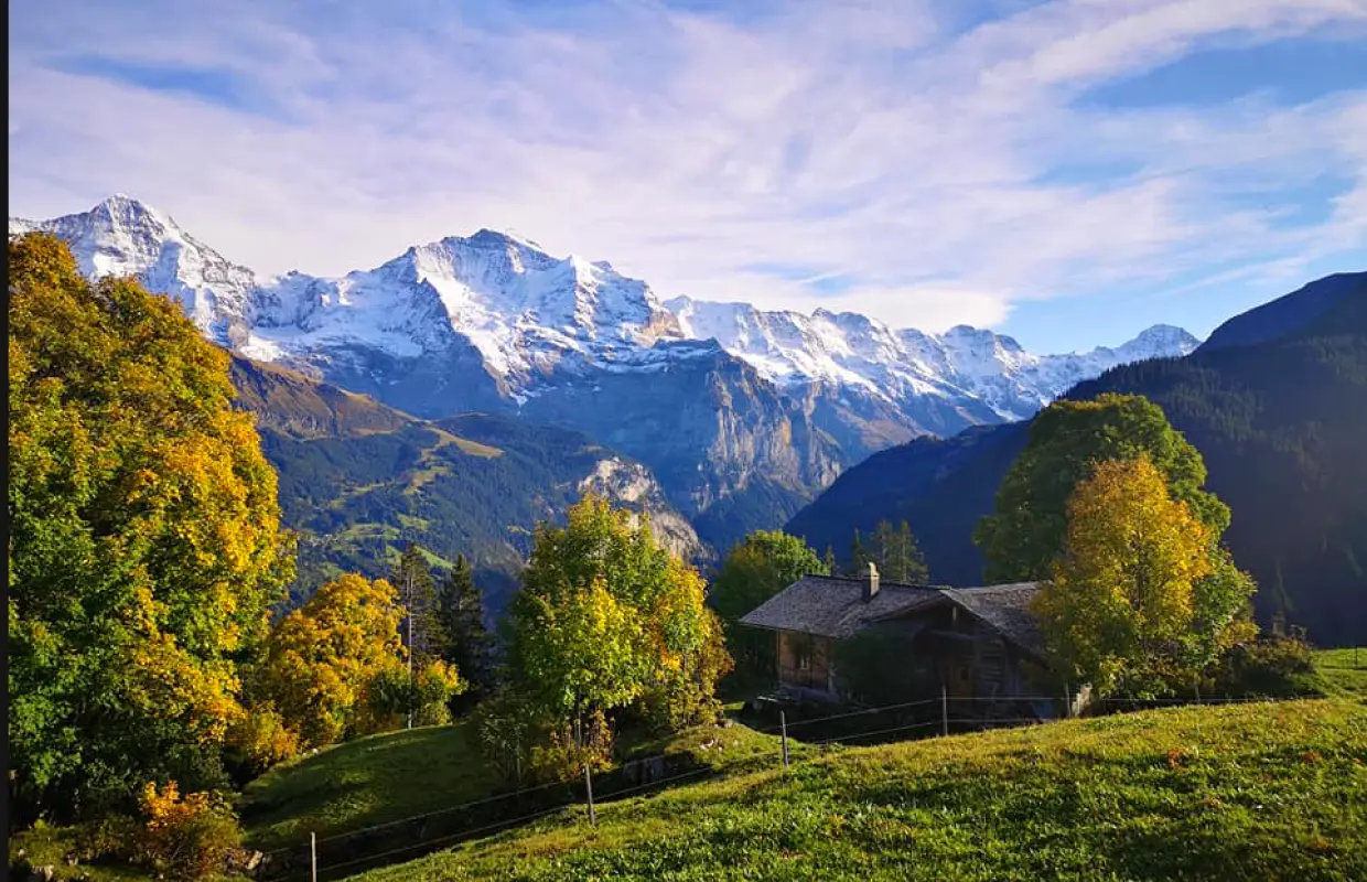 Bernese Oberland private bus tour from Lucerne