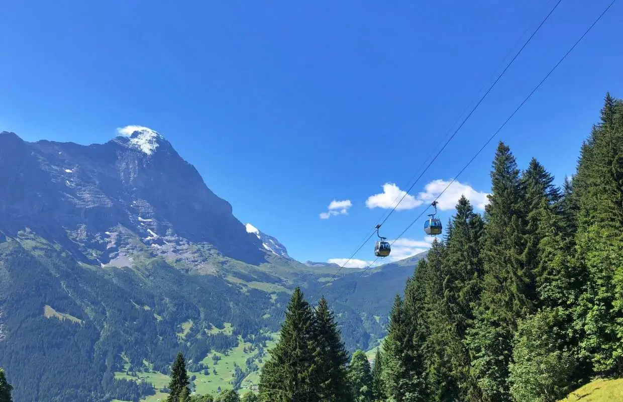 Hiking ticket Grindelwald - Schreckfeld with the Firstbahn
