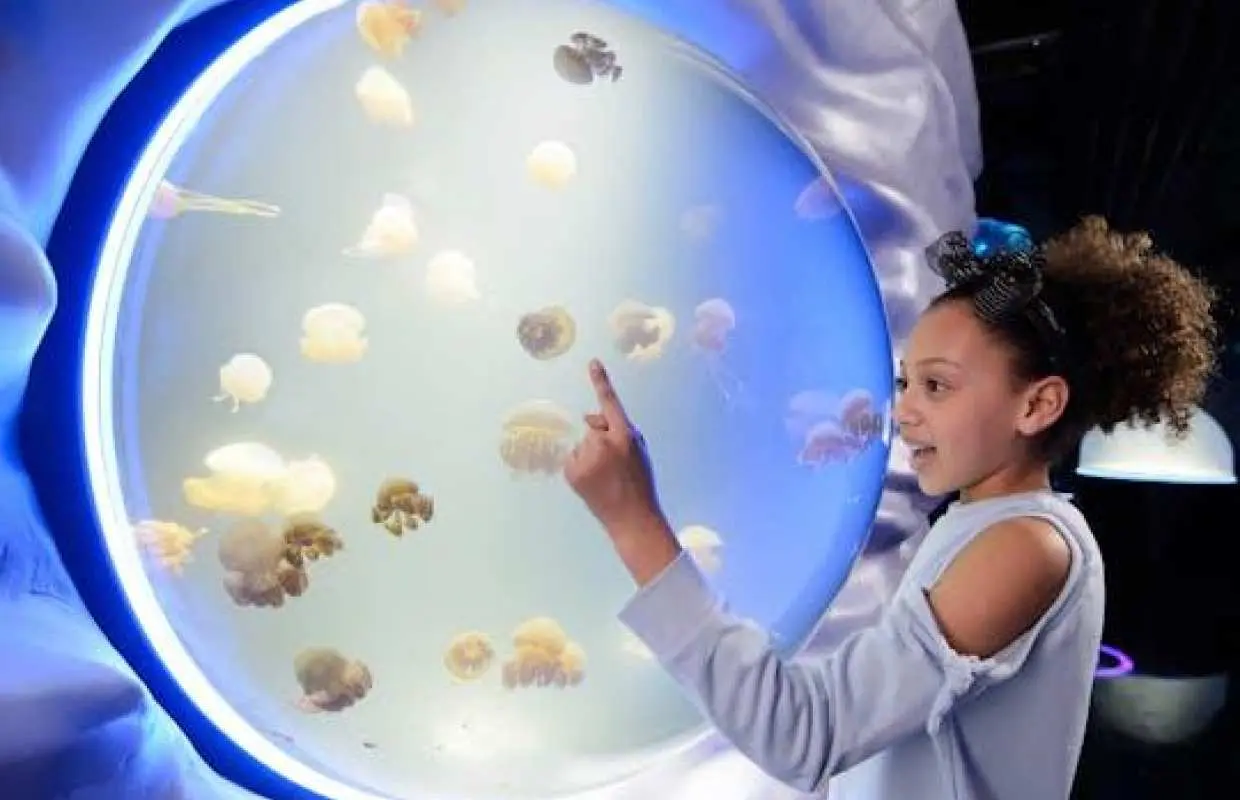 Sea Life London Aquarium tickets