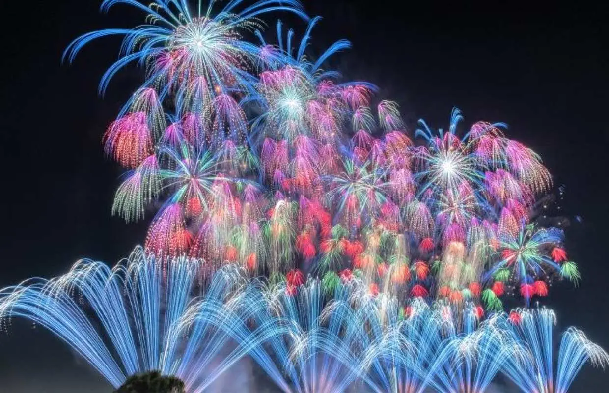 【Guaranteed departure】Koga Fireworks Festival, Peach Picking and Gelato Day Bus Tour from Shinjuku