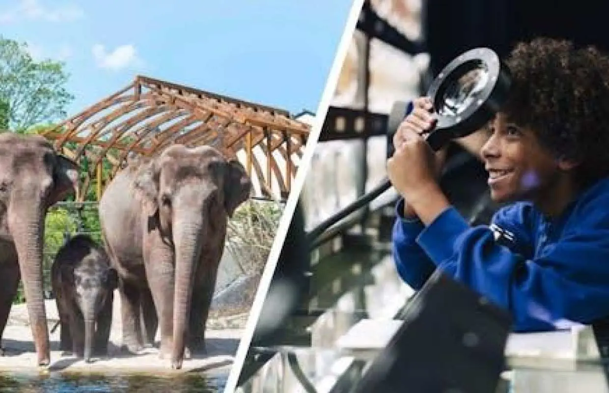 アルティス王立動物園とミクロピアの入場券