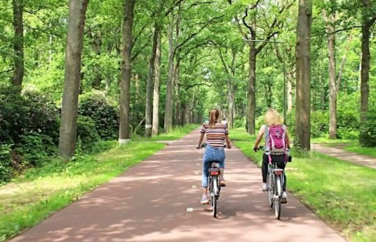 アイントホーフェンの見どころを巡る2時間自転車ツアー（地元ガイド付き）