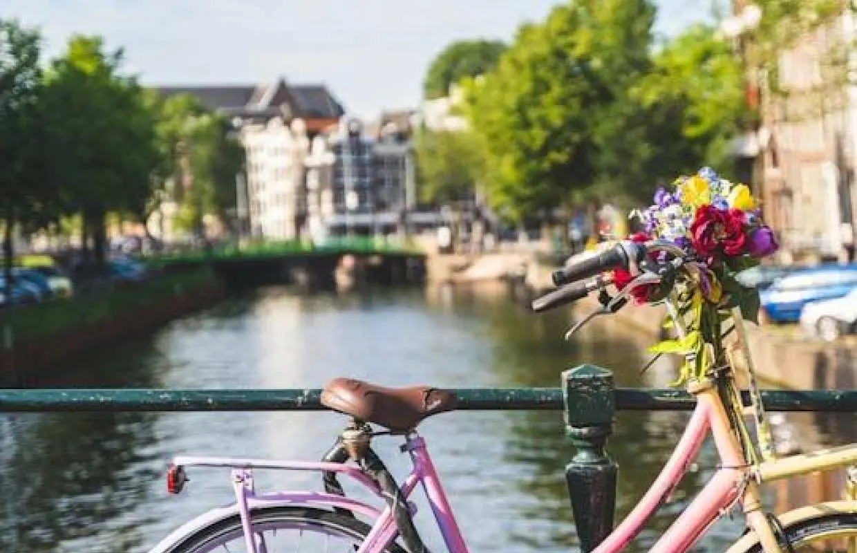 Amsterdam countryside bike tour with windmills