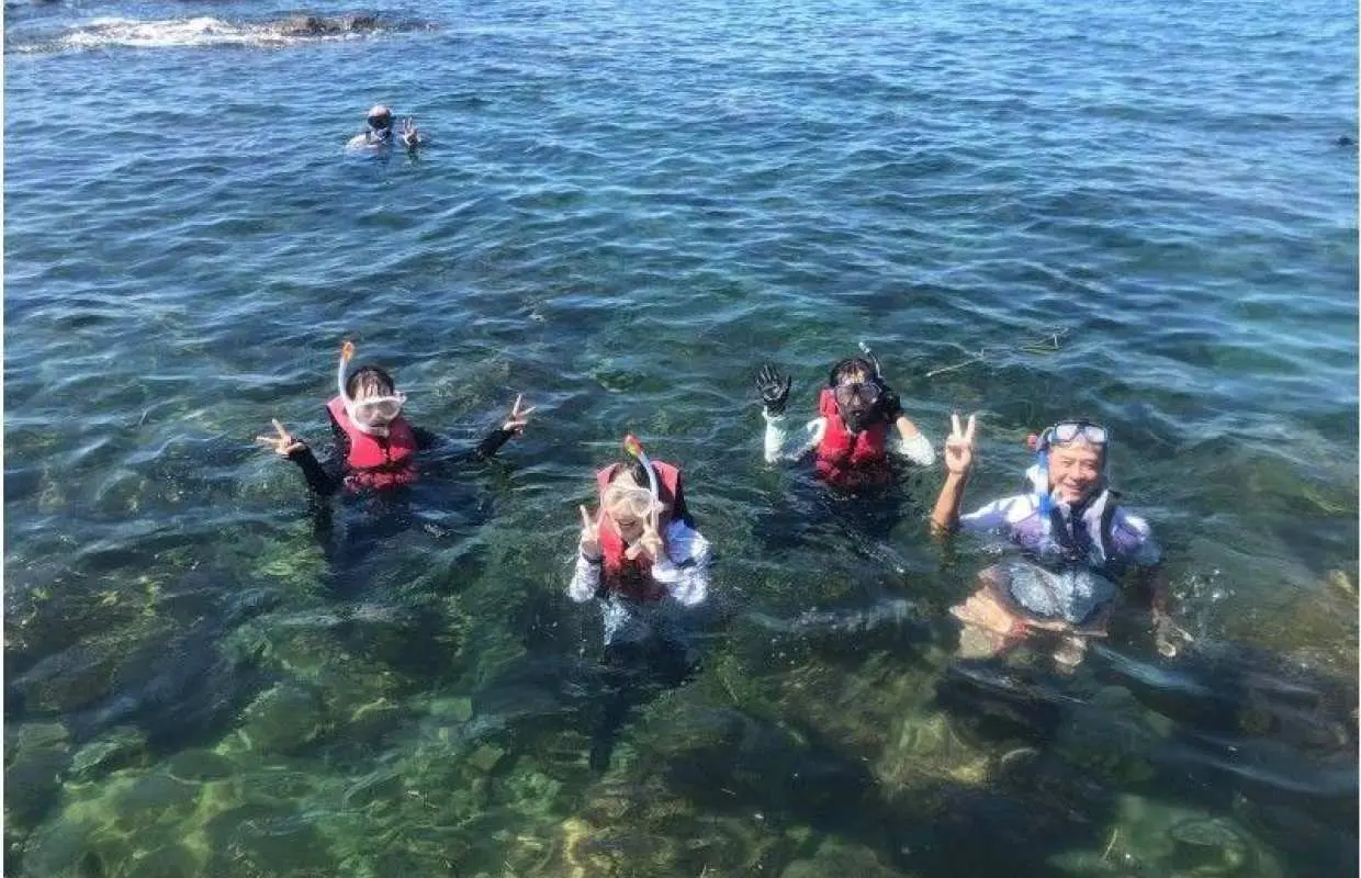 【7・８月夏季限定プラン】葉山の透明な海へ。無人島シュノーケルツアー
