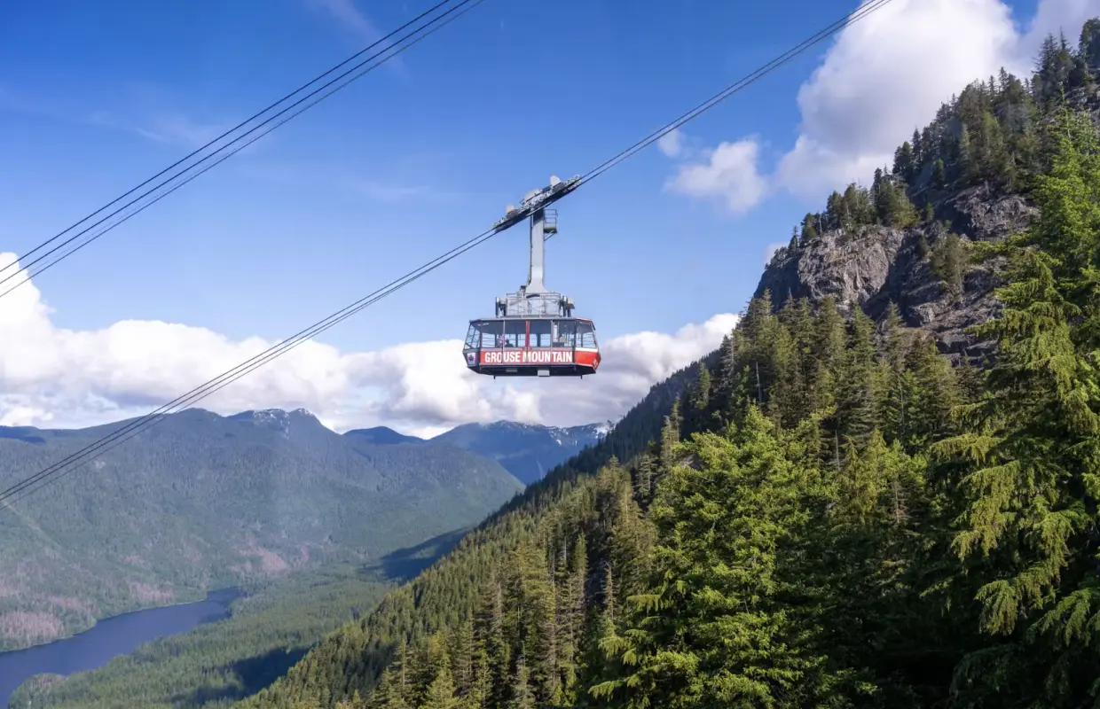 Grouse Mountain: บัตรเข้าชมช่วงฤดูร้อน + บริการรถรับส่งฟรีไปยังตัวเมืองแวนคูเวอร์ | แวนคูเวอร์