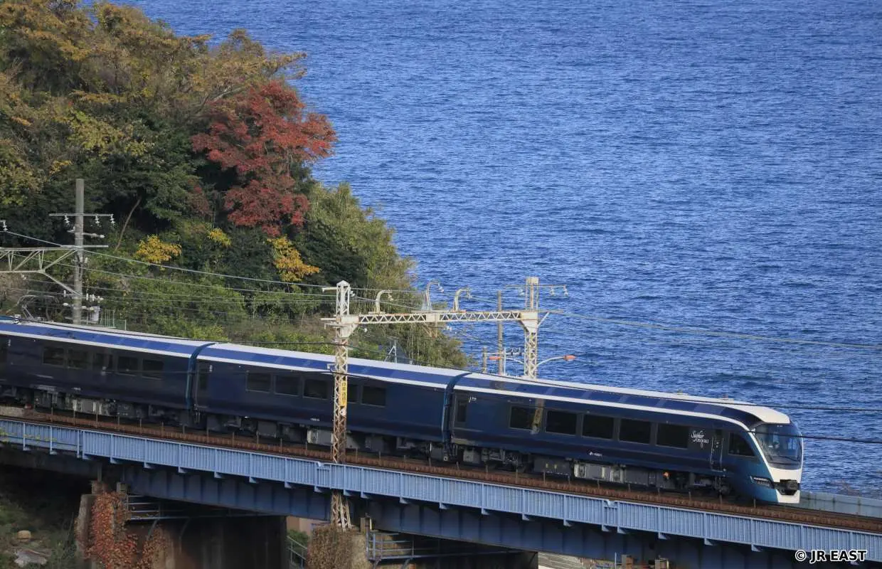 JR Odori/SAPHIR Odori Limited Express | Tokyo ⇄ Atami ⇄ Izukyu Shimoda