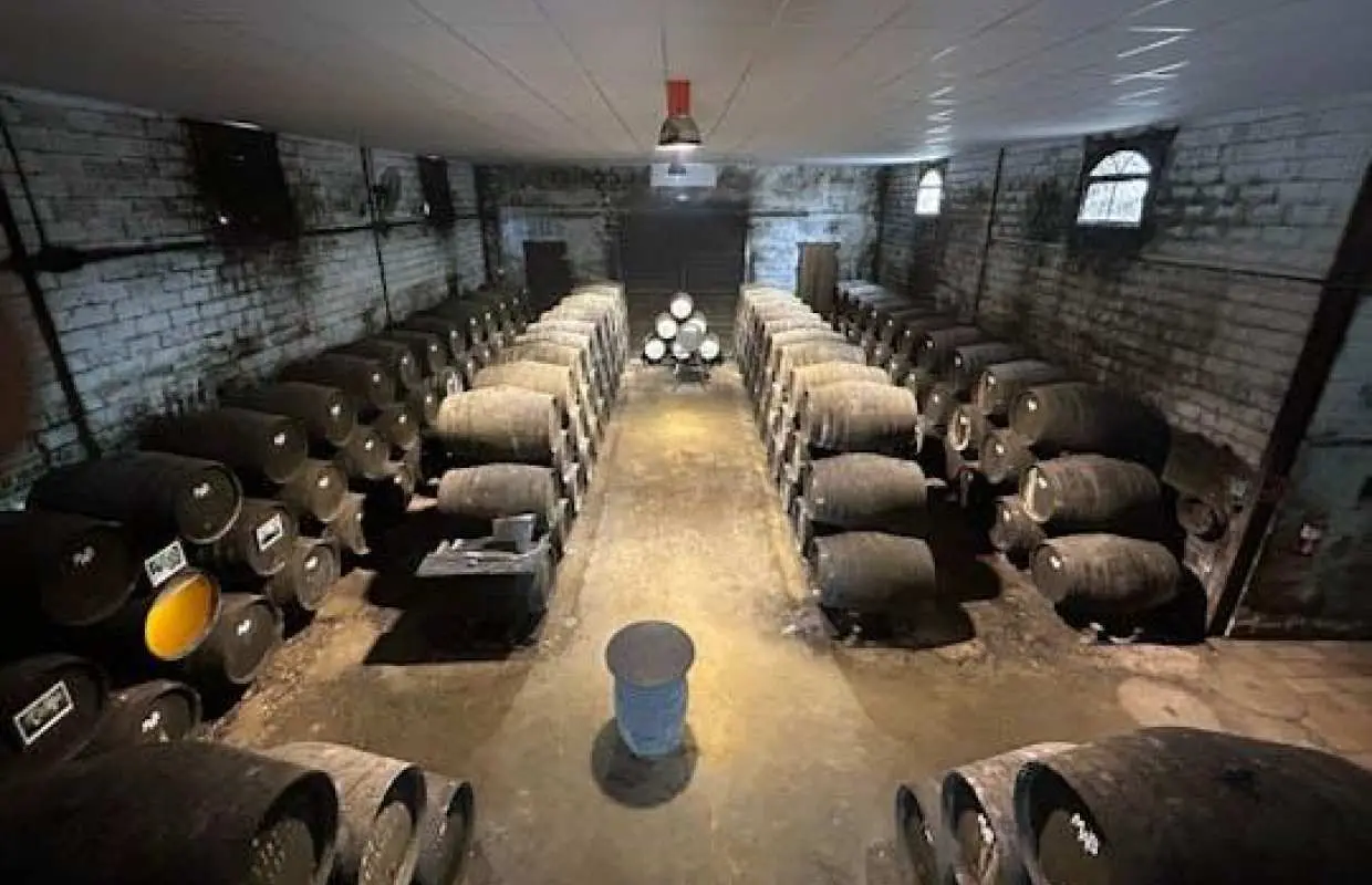 在加的斯省奇克拉纳德拉弗龙特拉参观酒庄并品尝葡萄酒