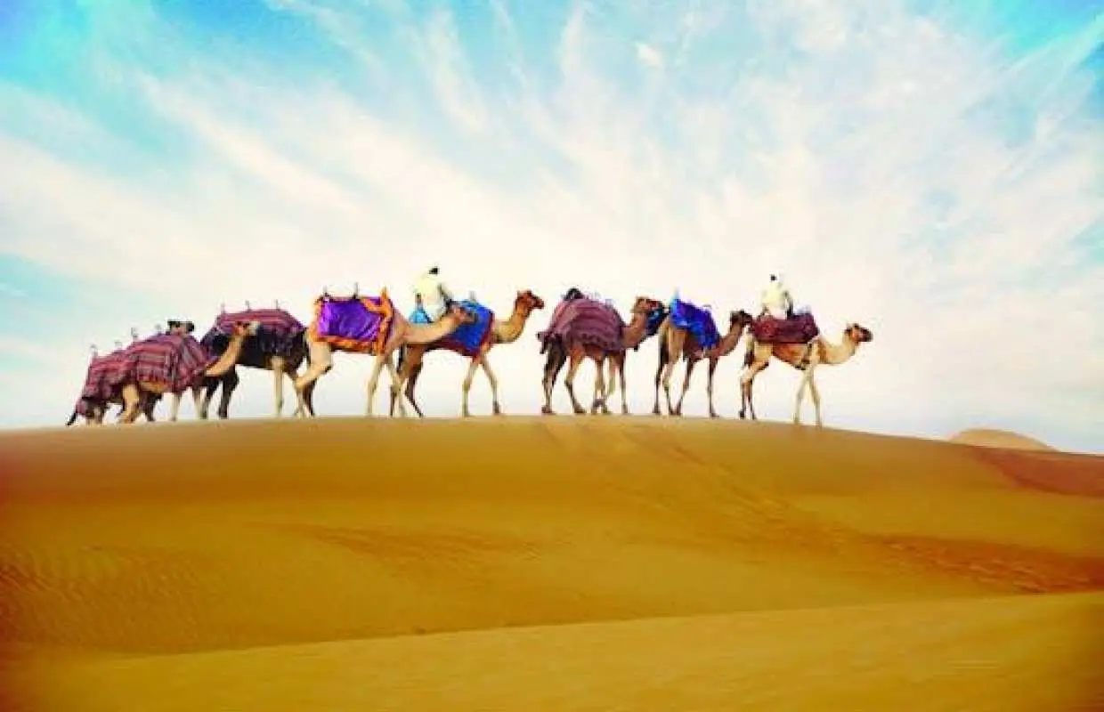 Camel ride with optional dinner at the camp in Ras Al Khaimah