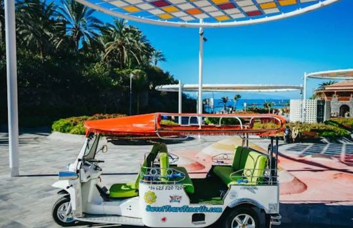 Double private tuk tuk tour
