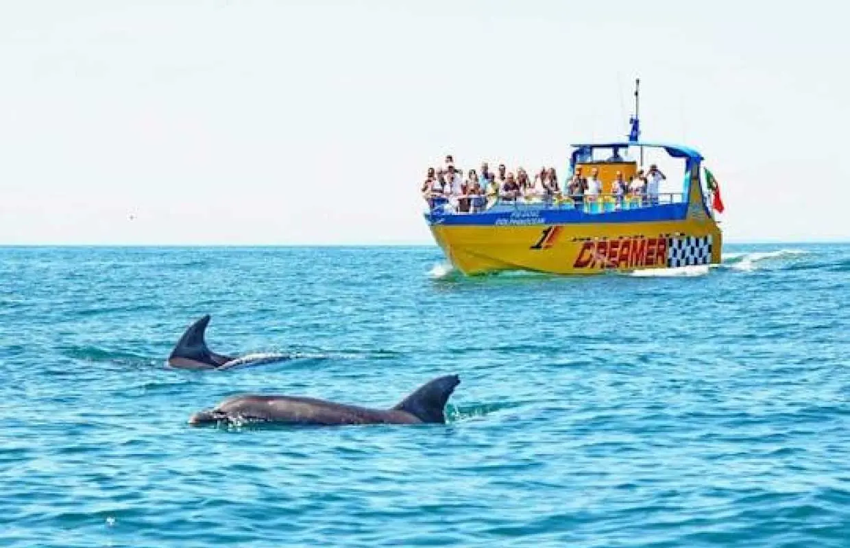 Dreamer Cave and dolphin-watching boat tour from Albufeira – ticket only